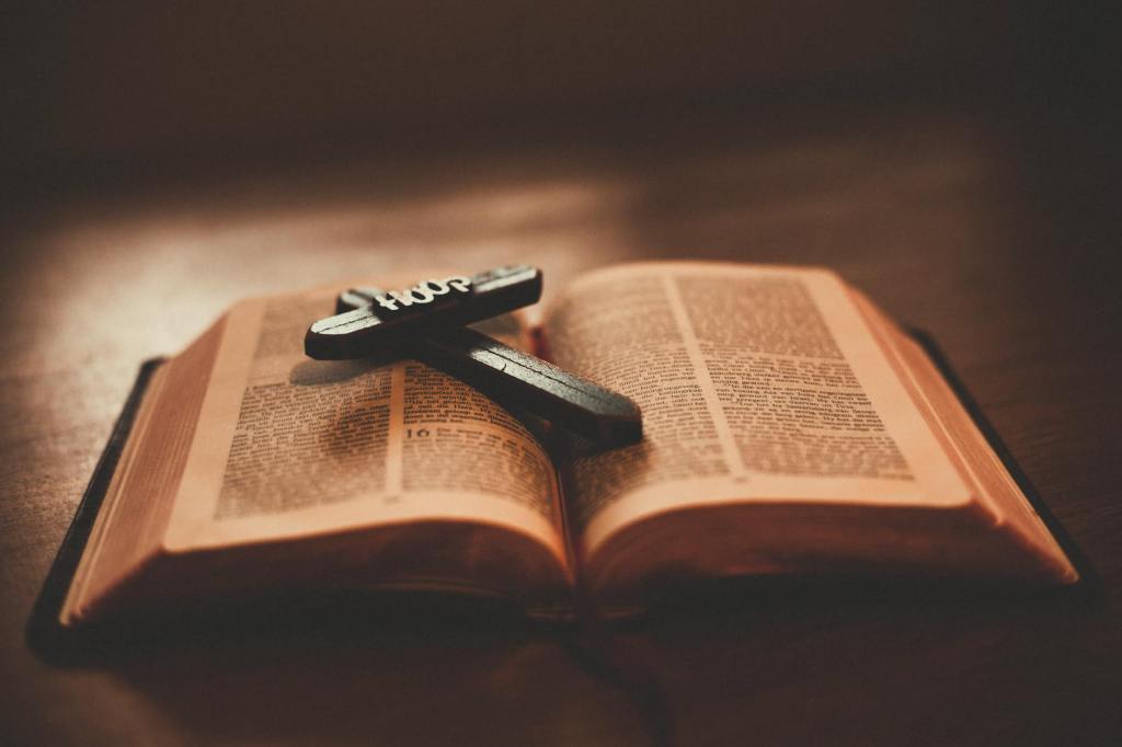 Revealed, Forgiven, Belonging