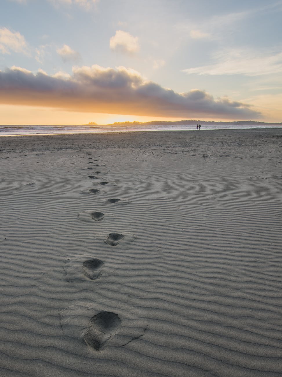 Footprints Through Silence