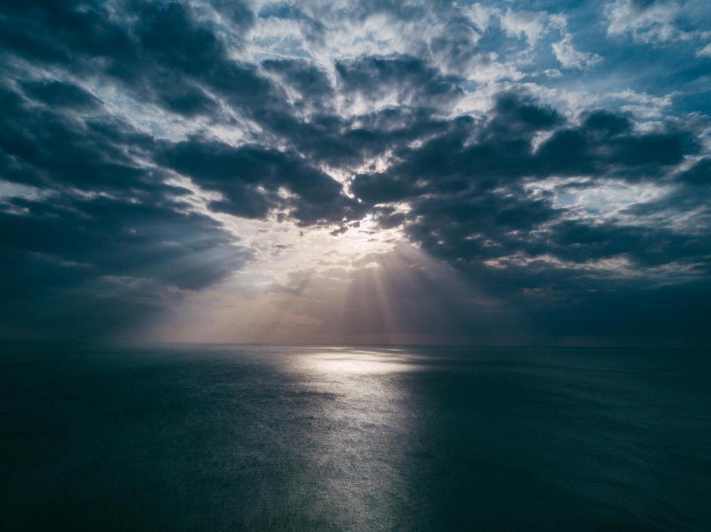 Among the Cloud of Hidden&nbsp;Witnesses