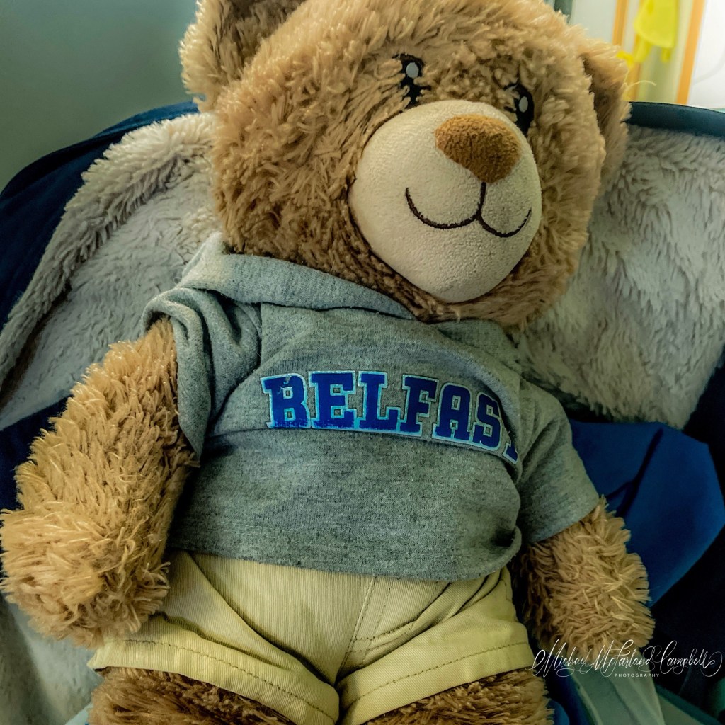 🧸 Otto the Autism Support Bear