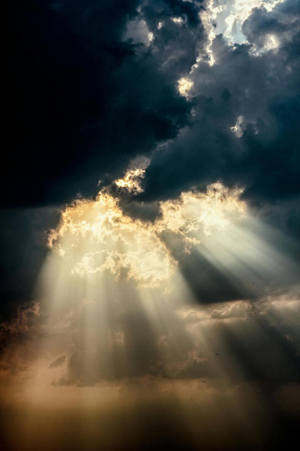 Brightness. Silence. Cloak.