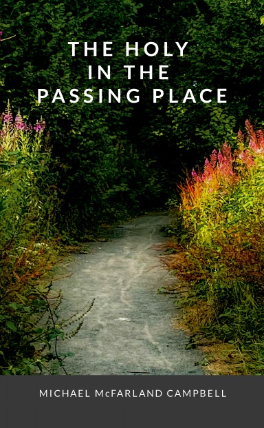Cover of The Holy in the Passing Place by Michael McFarland Campbell, showing a winding woodland path bordered by green foliage and pink flowers.